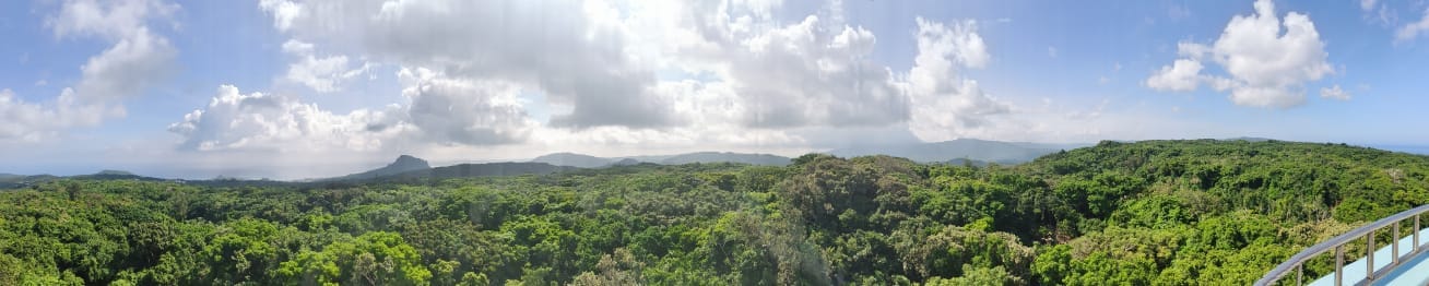 Panoramic view of Kenting National Forest from the restaurant observation deck