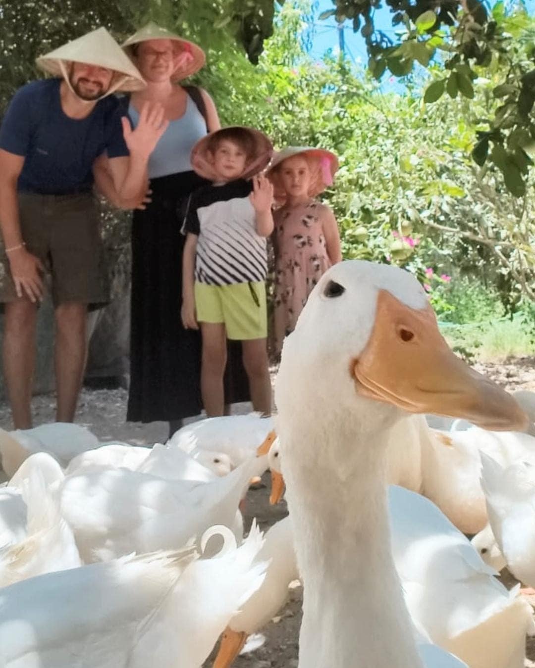 Family with children wearing Vietnamese conical hats posing among ducks at Duck Stop in Phong Nha, Vietnam