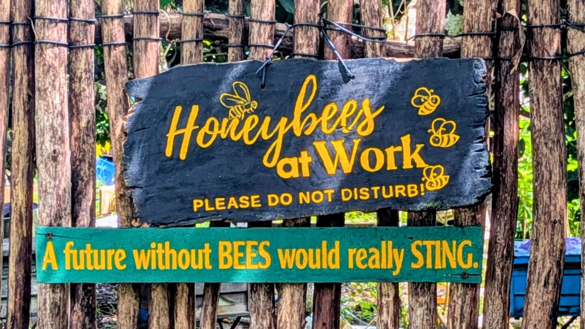 Honeybees at work sign at a family friendly bee farm in Phu Quoc highlighting the importance of bees
