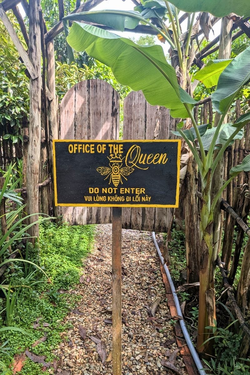 Bee farm visit organised by the Better Together Hub in Phu Quoc